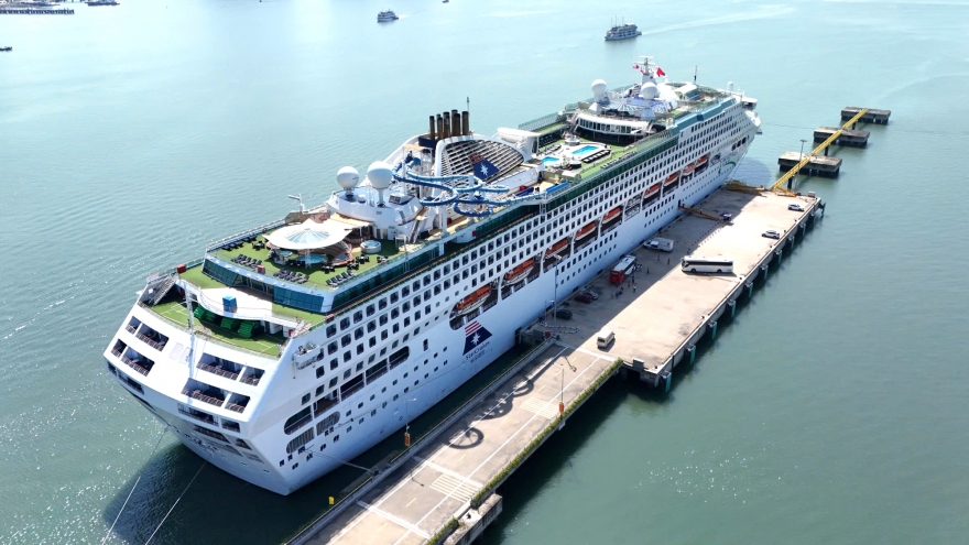 Luxury cruise ships set to call at Ha Long Bay during Lunar New Year 2026